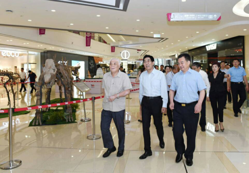 ��ɳjs1005��· - ��·�������